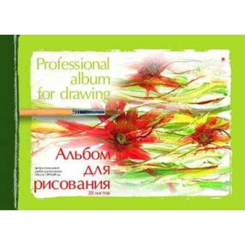 альбом для рисования 20 листов Профессионал на спирали 1-20-198