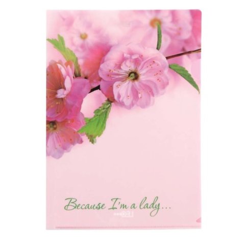 угол А4 с рис"Because I am Lady"Сакура /490633