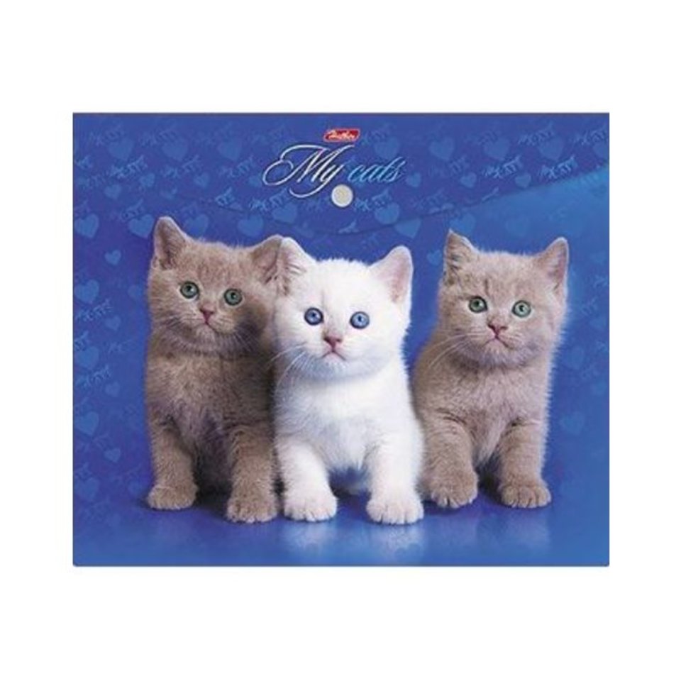папка-конверт на кнопке А5 с рисунком “Котята”