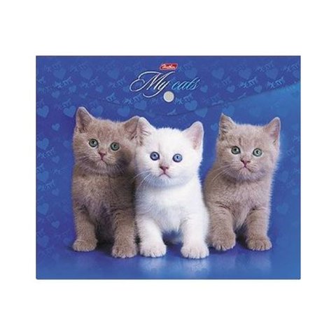 папка-конверт на кнопке А5 с рисунком “Котята”