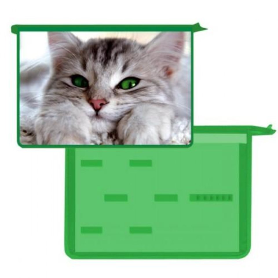 папка для тетрадей А4 на молнии с двумя отделениями ПТР-115 Оникс Зеленоглазый кот