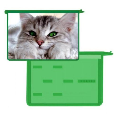 папка для тетрадей А4 на молнии с двумя отделениями ПТР-115 Оникс Зеленоглазый кот