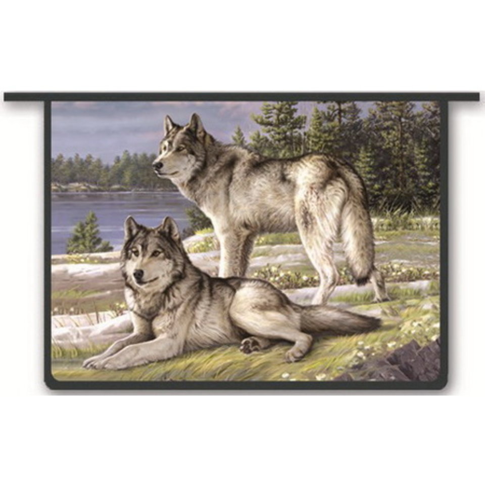 папка для тетрадей А4 на молнии Волки 40574