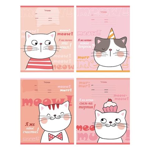 тетрадь 18 листов Я же котик в клетку 8203 BG