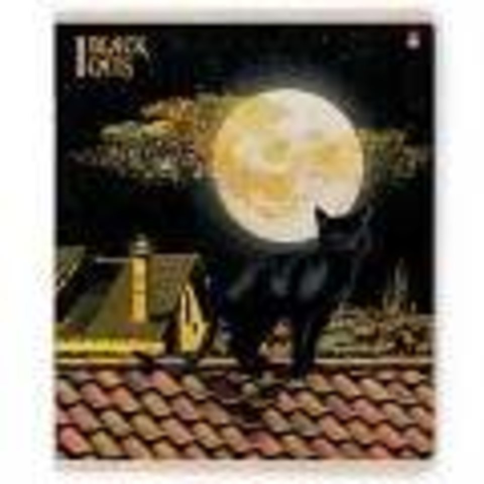 тетрадь 48 листов Черные кошки 7-48-648 в клетку