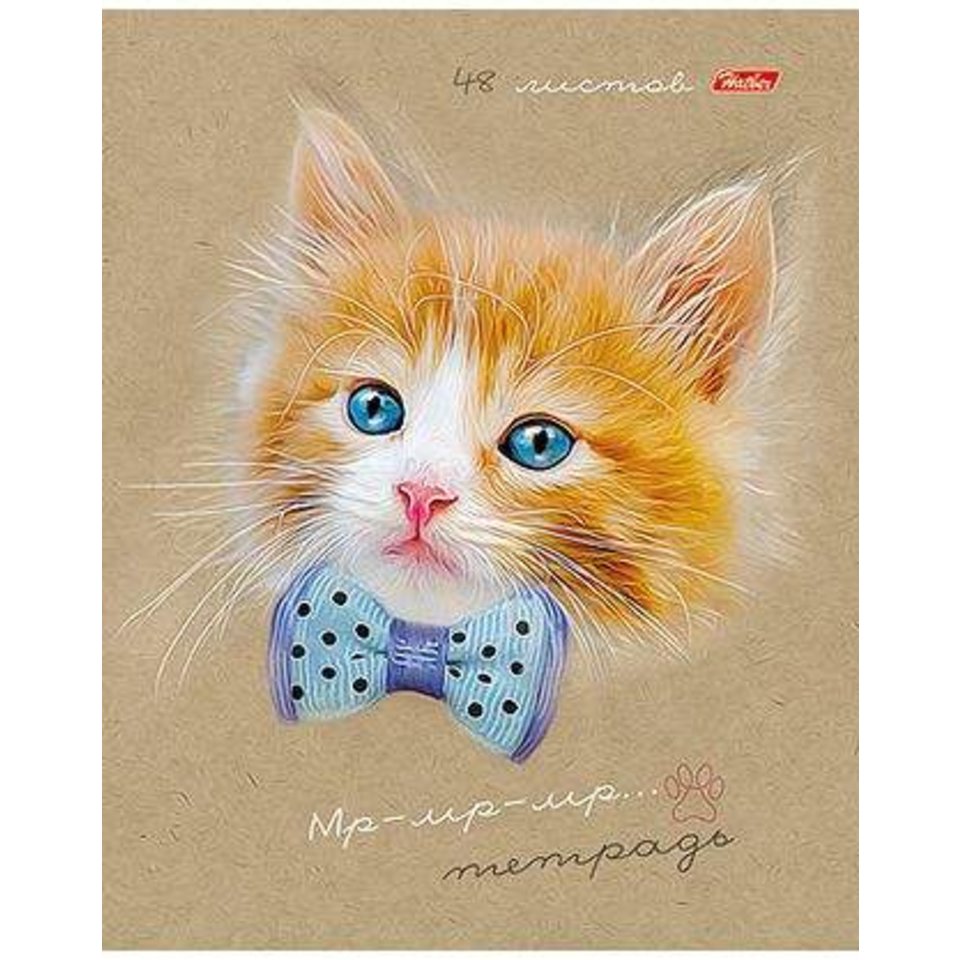 тетрадь 48 листов Мур-Мур в клетку