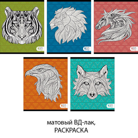 тетрадь 48 листов Фантастические животные (раскраска) в клетку 485248