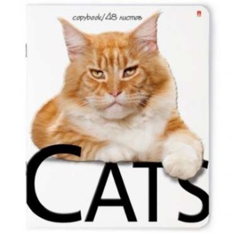 тетрадь 48 листов Кошки 7-48-018 в клетку