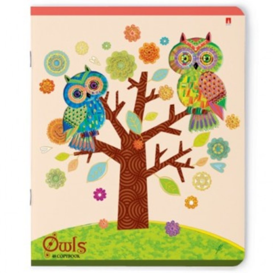 тетрадь 48 листов Сказочные совы яркие 7-48-013 в клетку