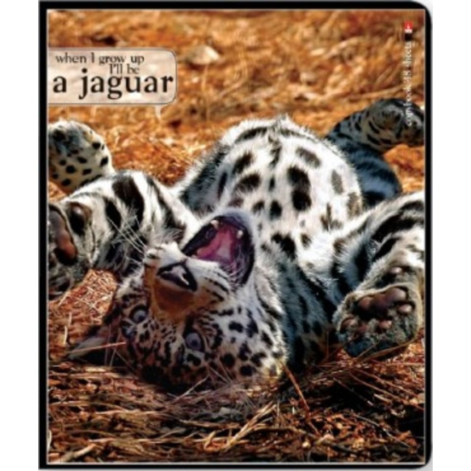 тетрадь 48 листов Дикие котята 7-48-439 в клетку