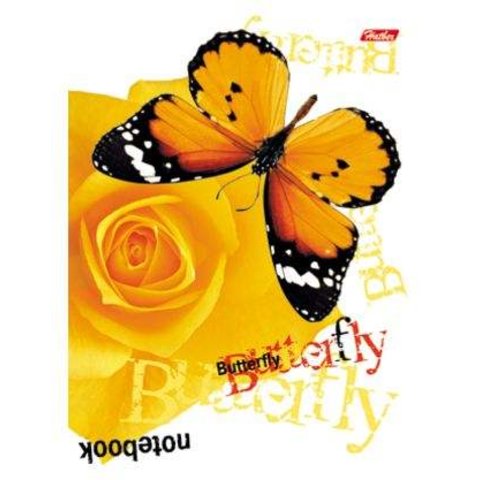 тетрадь 48 листов Бабочки с цветами в клетку