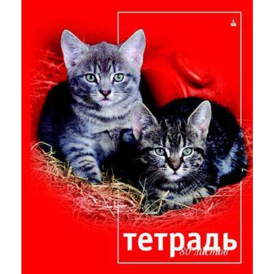 тетрадь 80 листов Кошки 7-80-129 на гребне в клетку