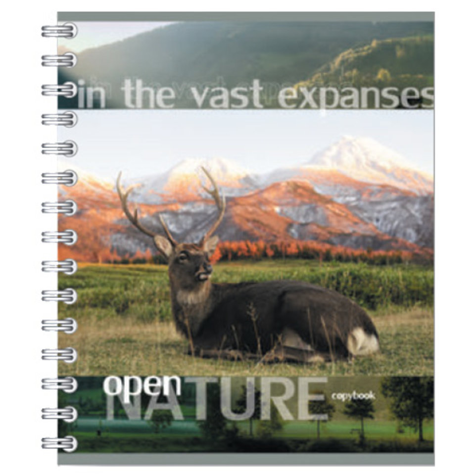 тетрадь 96 листов Open на спирали 38010 в клетку