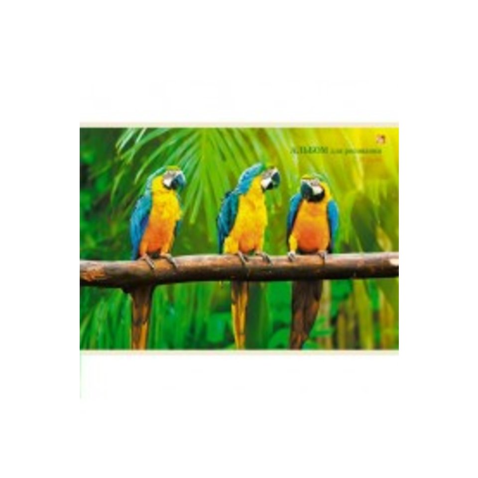 альбом для рисования 20 листов Яркие попугаи склейка 201287