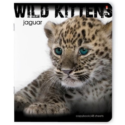 тетрадь 48 листов Дикие котята 7-48-188 в клетку