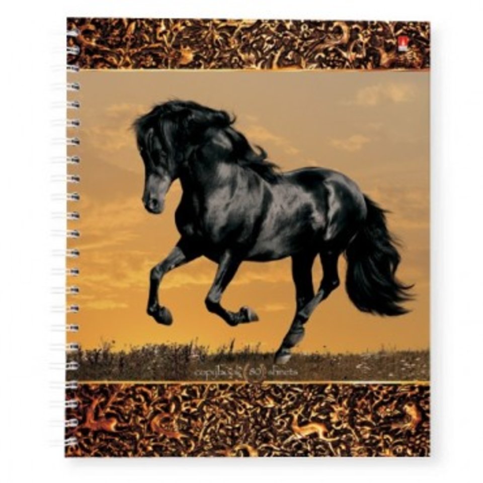 тетрадь 80 листов Лошади 7-80-045 на гребне в клетку