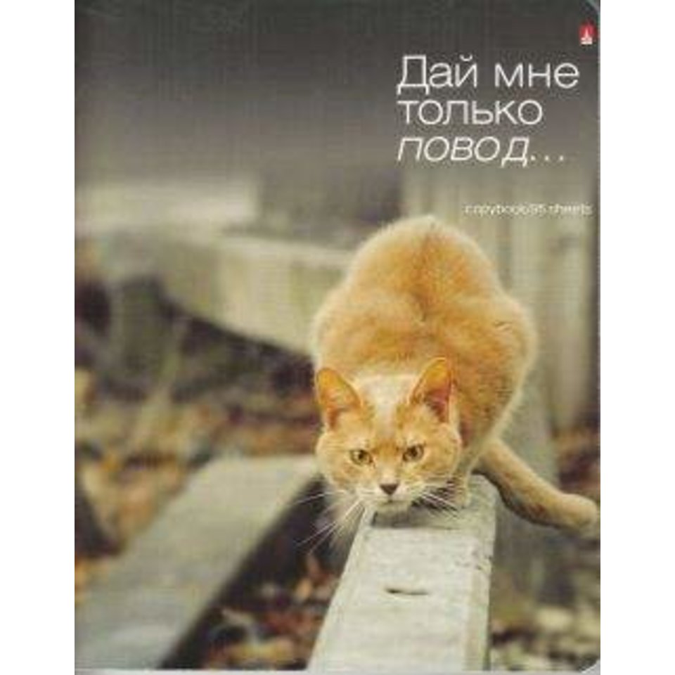 тетрадь 96 листов Приколы Кошки 7-96-013 в клетку