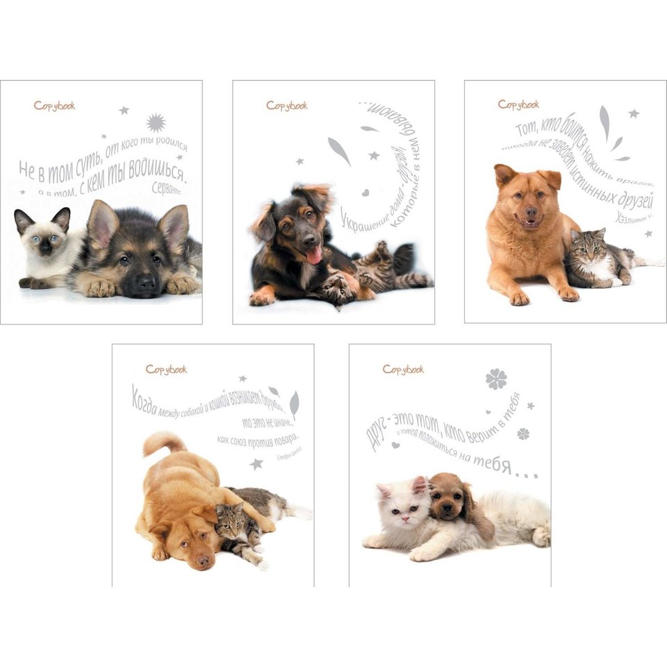 тетрадь 48 листов Дружба 33447/35375 в клетку