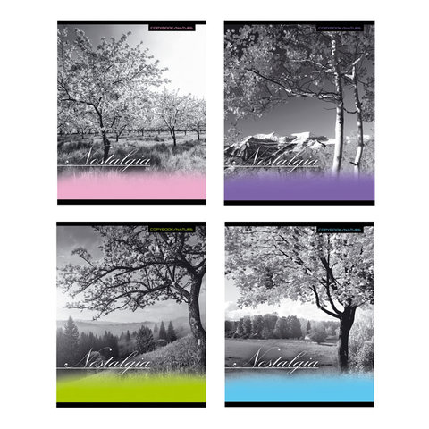 тетрадь 96 листов Nostalgia 1415 в клетку