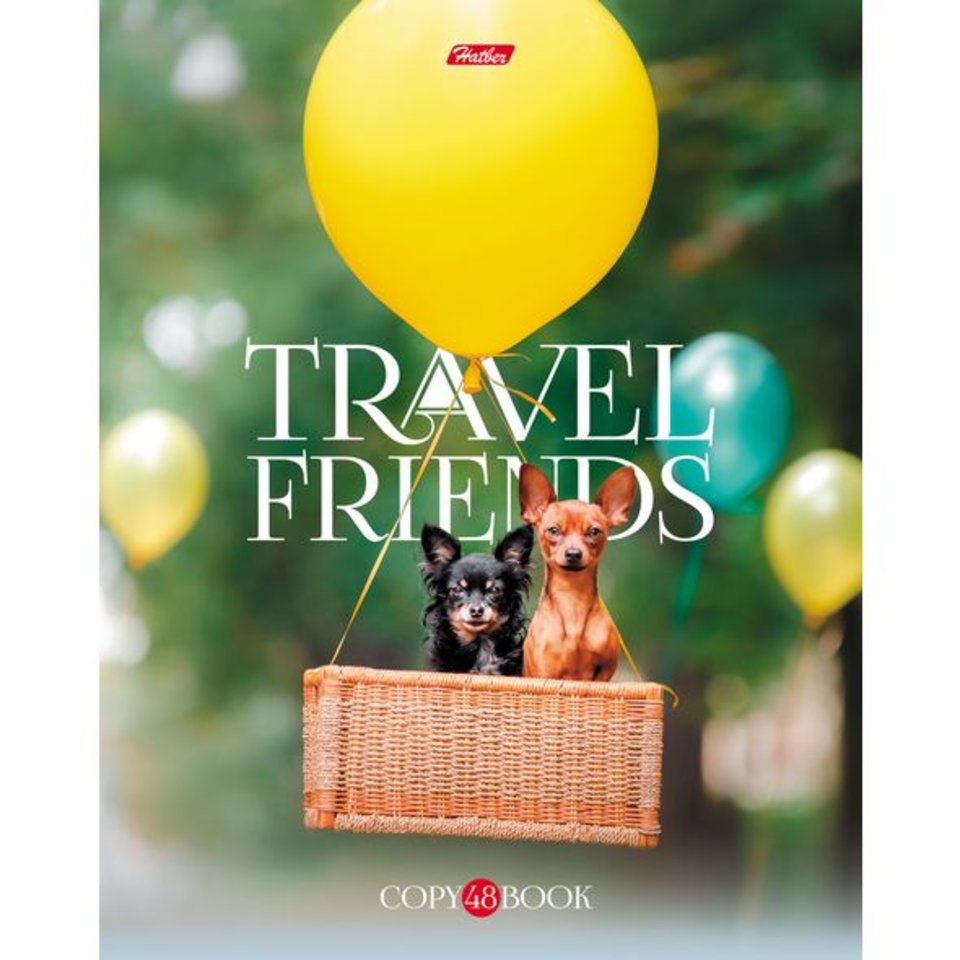 тетрадь 48 листов Путешествие друзей (051020) в клетку