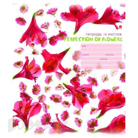 тетрадь 18 листов Цветы паттерн 7-18-243/1 в клетку