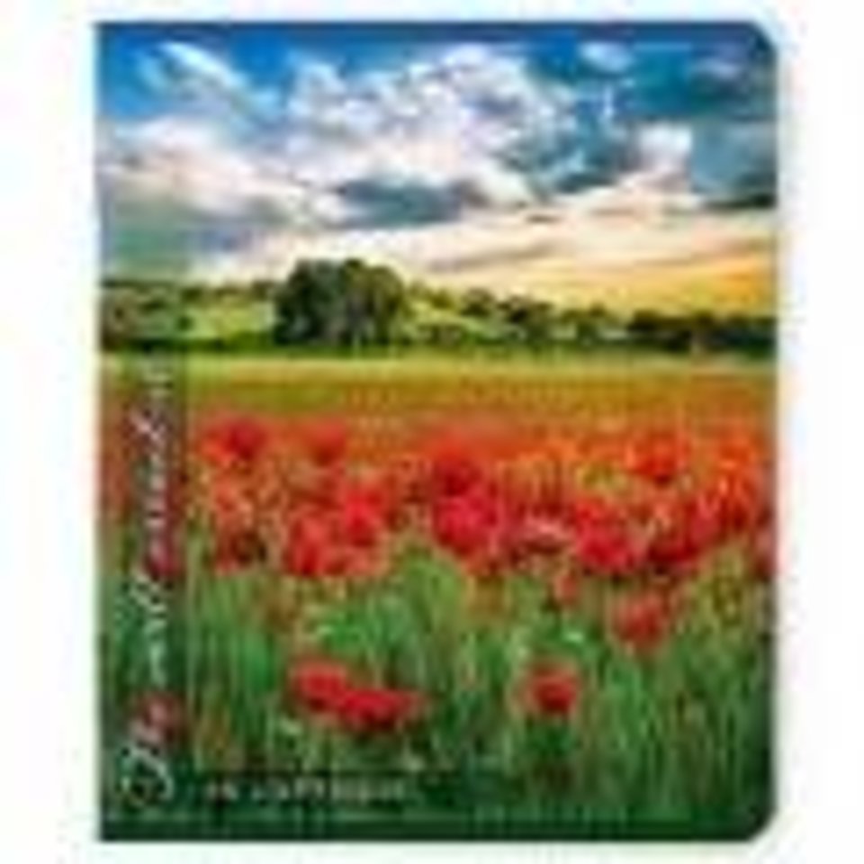 тетрадь 96 листов Природа 7-96-1016 в клетку