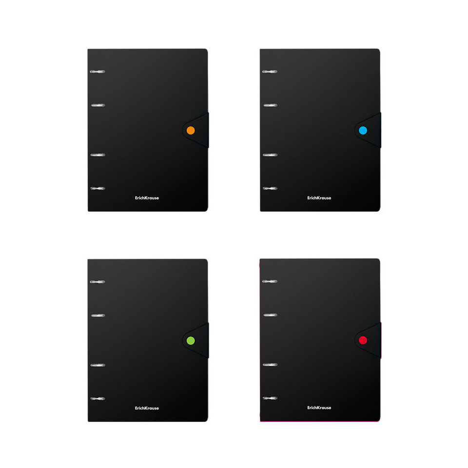 тетрадь на кольцах 80 листов Accent 51429