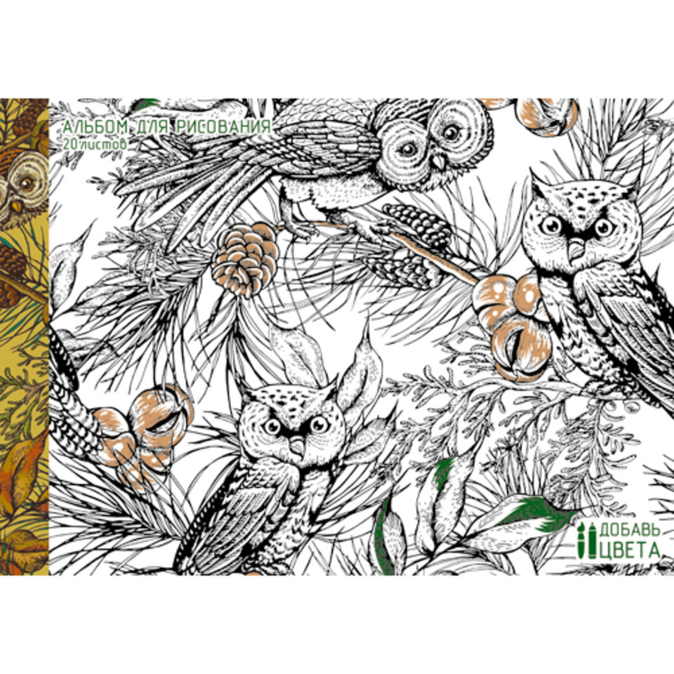 альбом для рисования 20 листов Совы в лесу склейка (раскраска) 201560