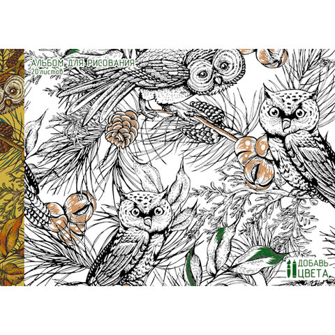 альбом для рисования 20 листов Совы в лесу склейка (раскраска) 201560