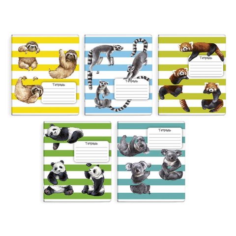 тетрадь 24 листа Звери на полосках в клетку 51949