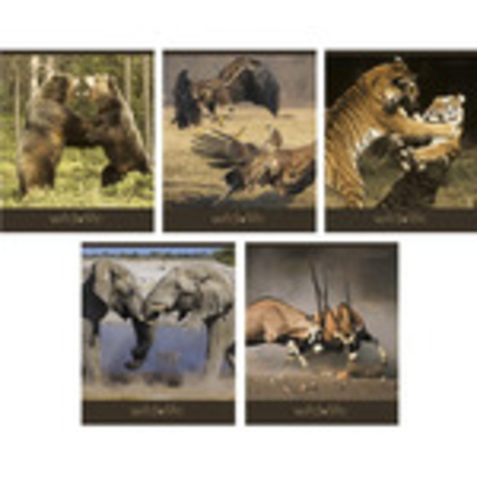 тетрадь 48 листов Дикий мир в клетку 484917