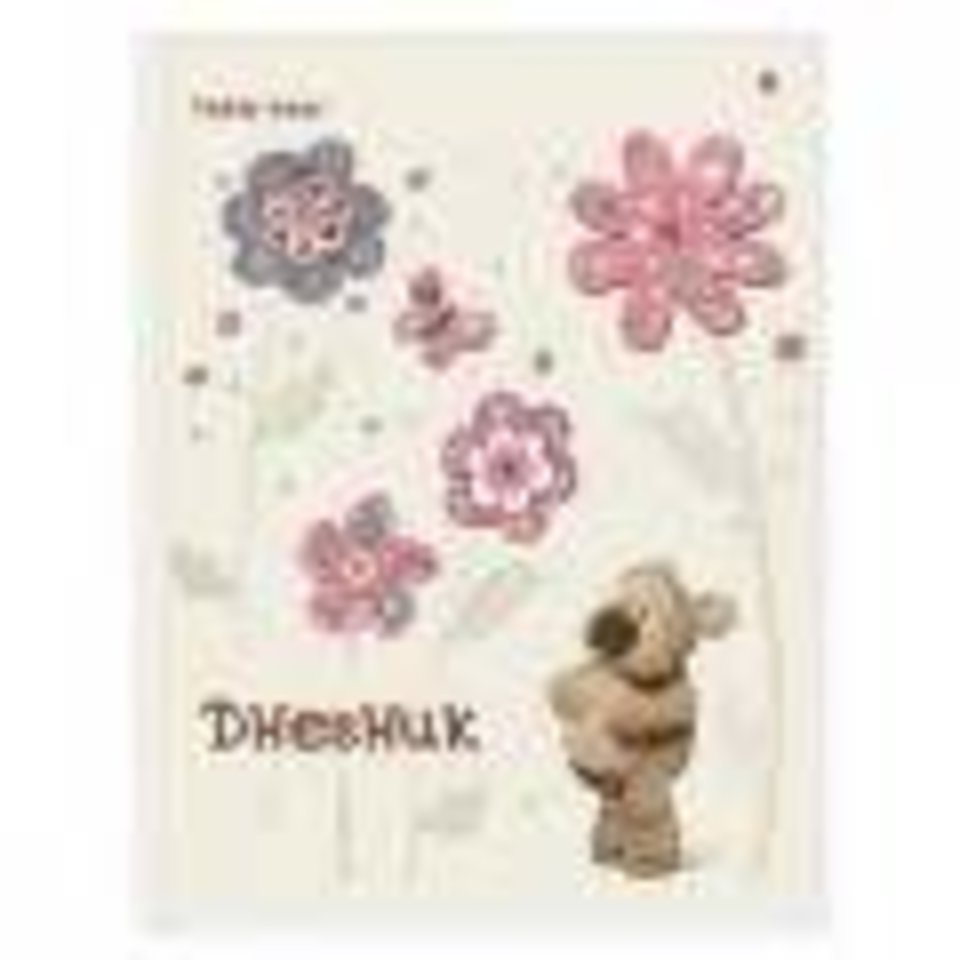 дневник для младших классов твердый переплет Мишка Тедди 10-001/02