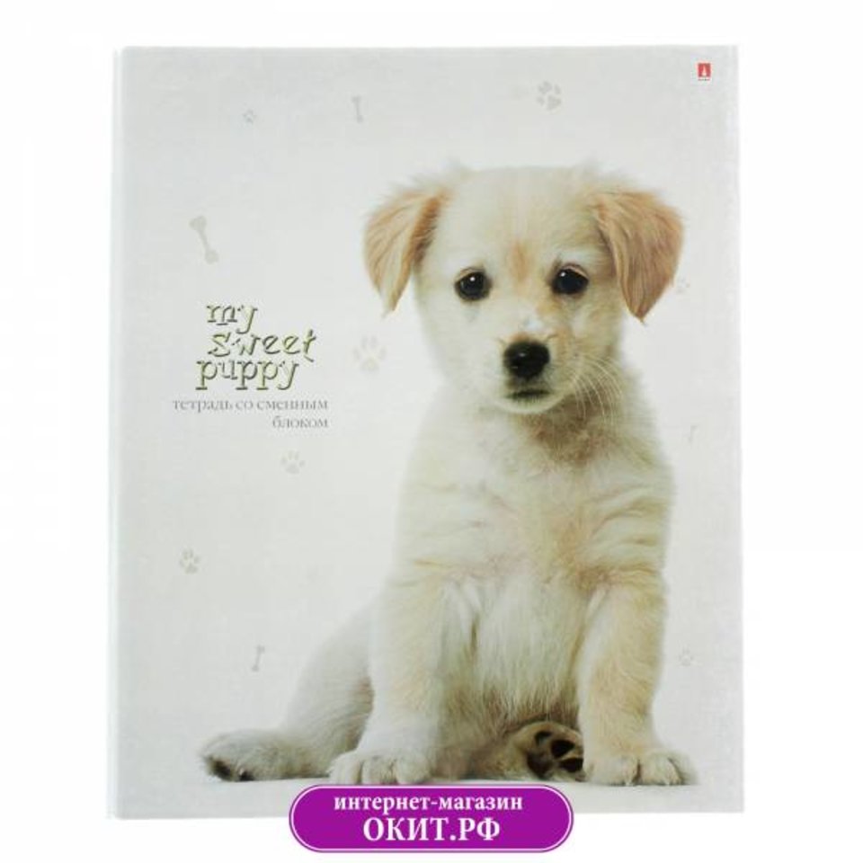тетрадь на кольцах 160 листов Чудо щеночек 7-160-081/22