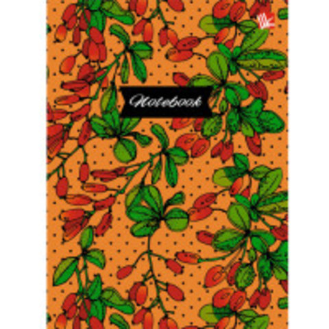 книга для записи А6 Барбарис 66419