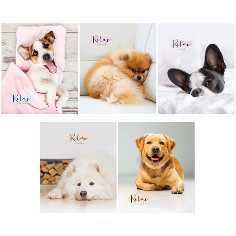 тетрадь 96 листов Питомцы. The pets 26723(282102) в клетку Space