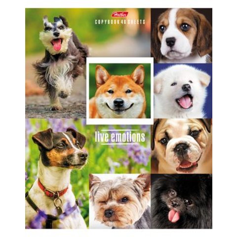 тетрадь 48 листов Живые эмоции в клетку