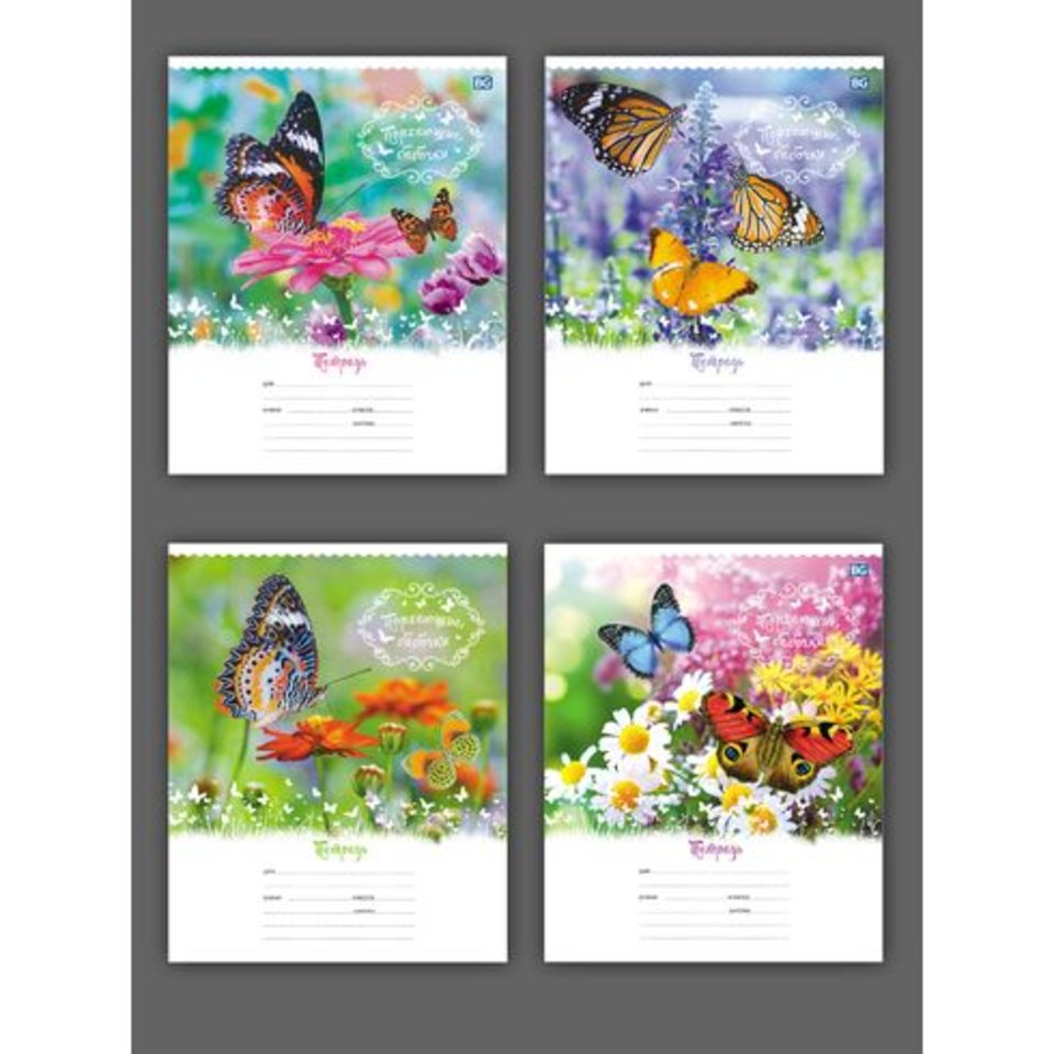 тетрадь 18 листов Порхающие бабочки в клетку 5677 (BG)