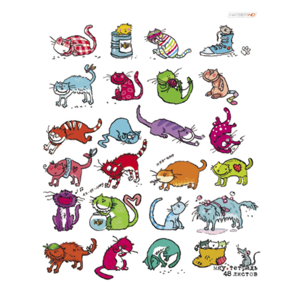 тетрадь 48 листов Демотиватор-13 в клетку