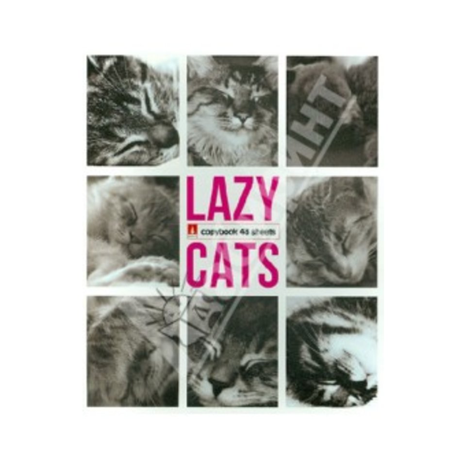 тетрадь 48 листов Ленивые котята 7-48-416 в клетку