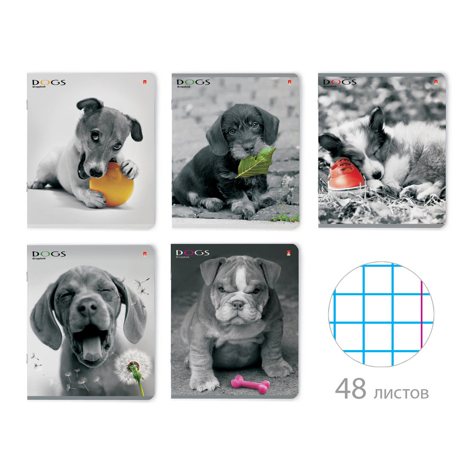 тетрадь 48 листов Щенки контрасты кле 7-48-1026