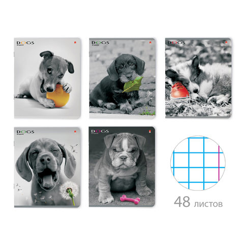 тетрадь 48 листов Щенки контрасты кле 7-48-1026