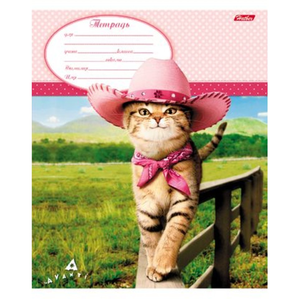 тетрадь 12 листов Милашки (Avanti) в косую линейку