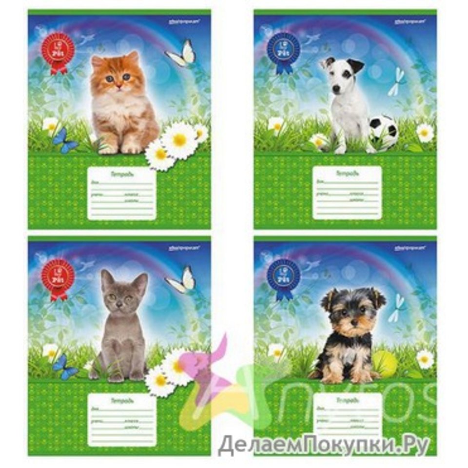 тетрадь 12 листов Домашние любимцы 072140/110617 в линейку