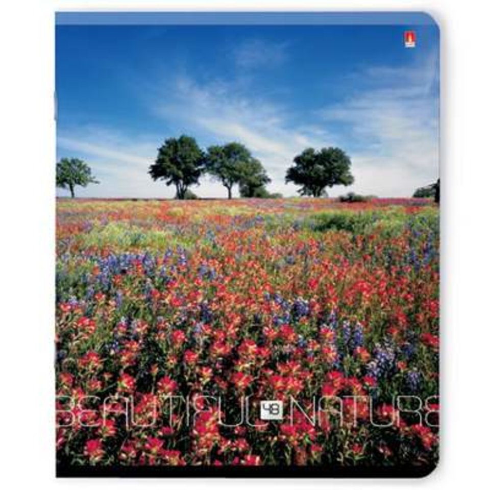 тетрадь 48 листов Природа цветная 7-48-1030 в клетку