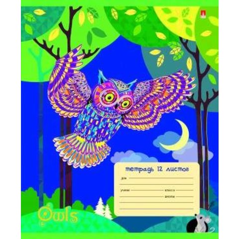тетрадь 12 листов Сказочные совы 7-12-210/1 в клетку