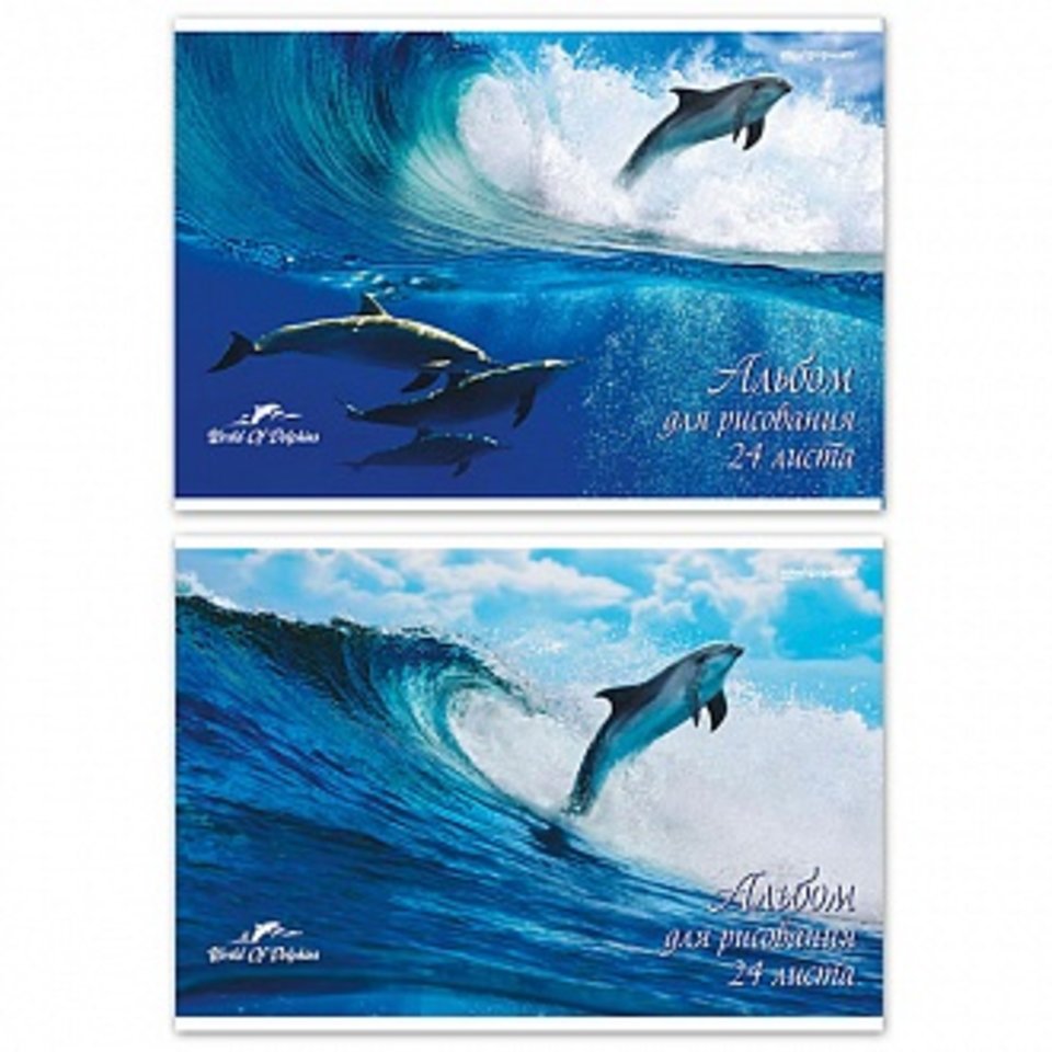 альбом для рисования 24 листа Дельфины 132862