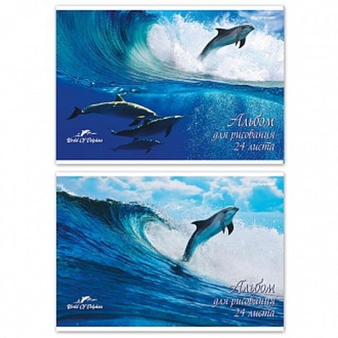 альбом для рисования 24 листа Дельфины 132862