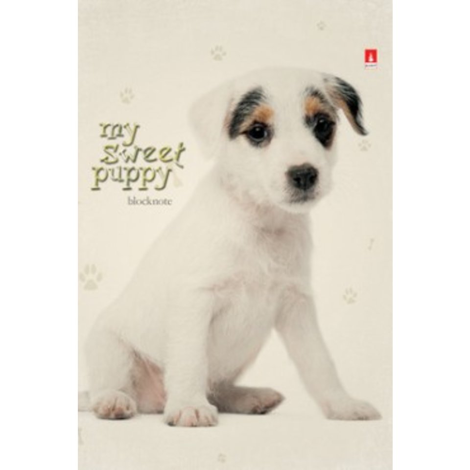 блокнот А7 40 листов Чудо-щеночки 3-40-065 на спирали