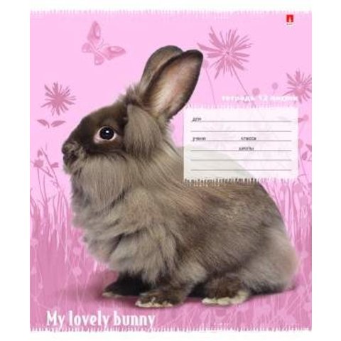 тетрадь 12 листов Милые крольчата 7-12-776/2 в линейку