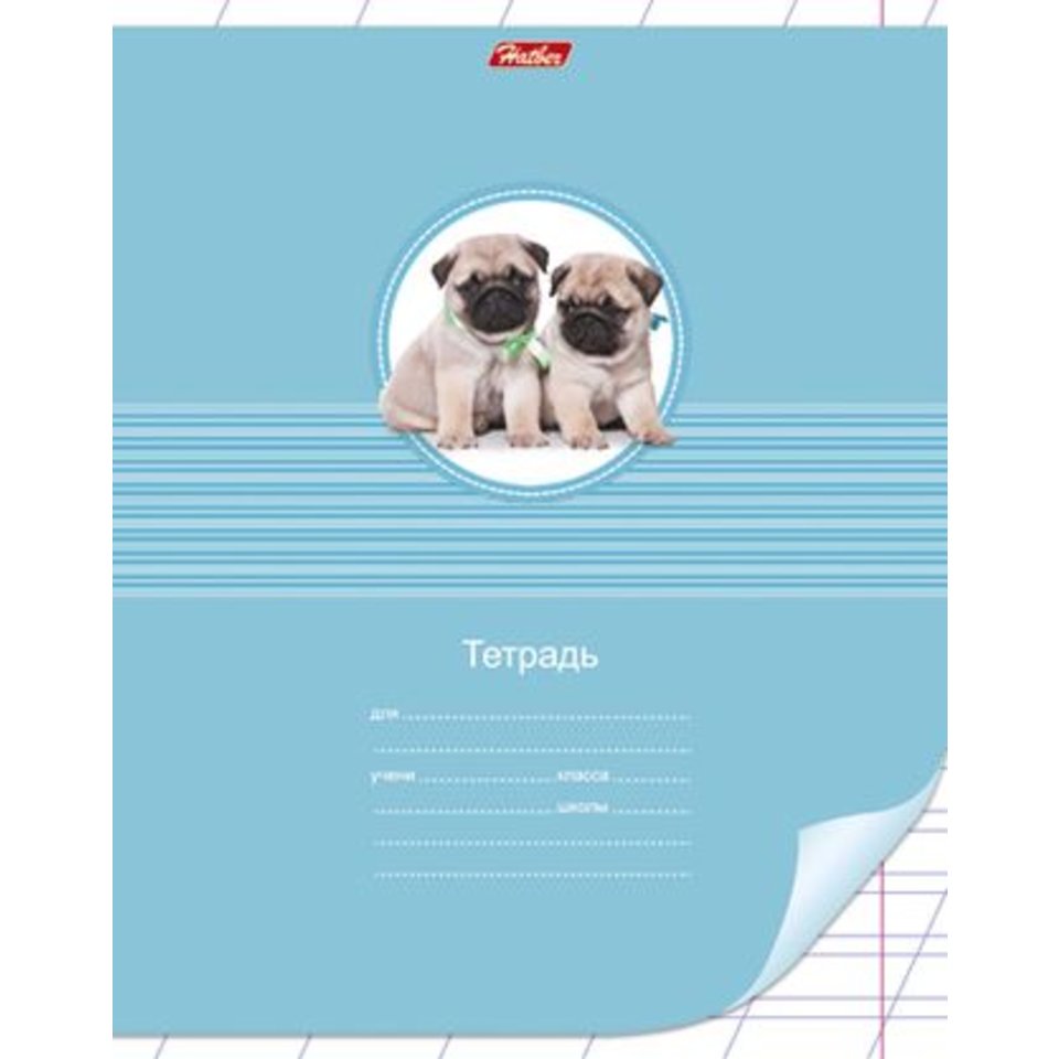 тетрадь 12 листов Пушистые любимцы в косую линейку